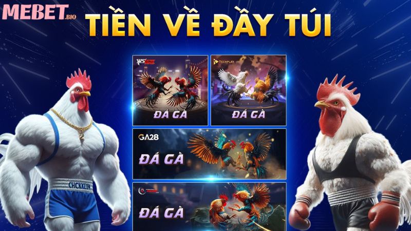 Ưu điểm khi tham gia đá gà Mebet
