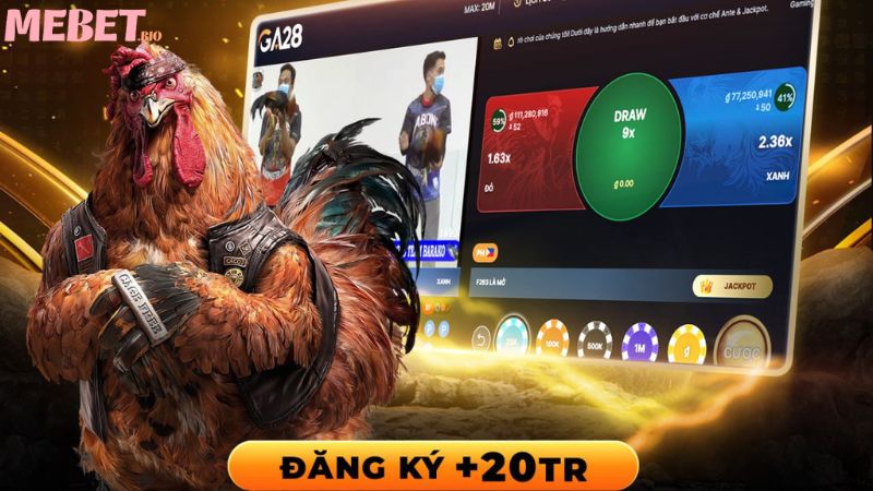 Tổng quan sảnh đá gà Mebet