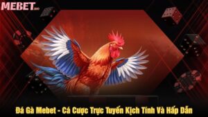 Đá gà Mebet - Cá cược trực tuyến kịch tính và hấp dẫn